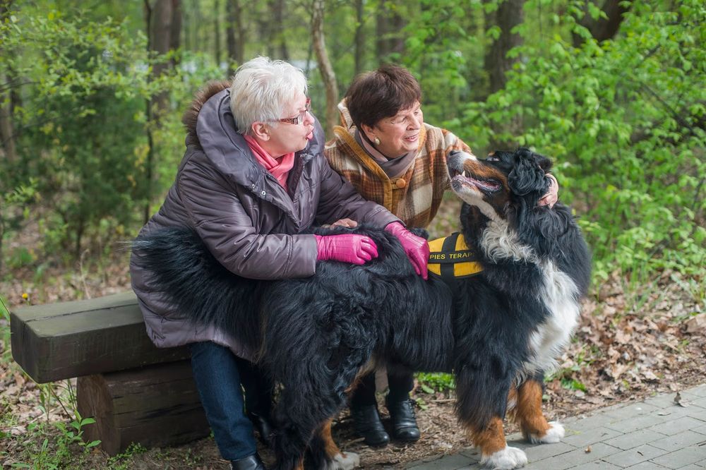 Pies wspomaga seniorów z chorobą Alzheimera